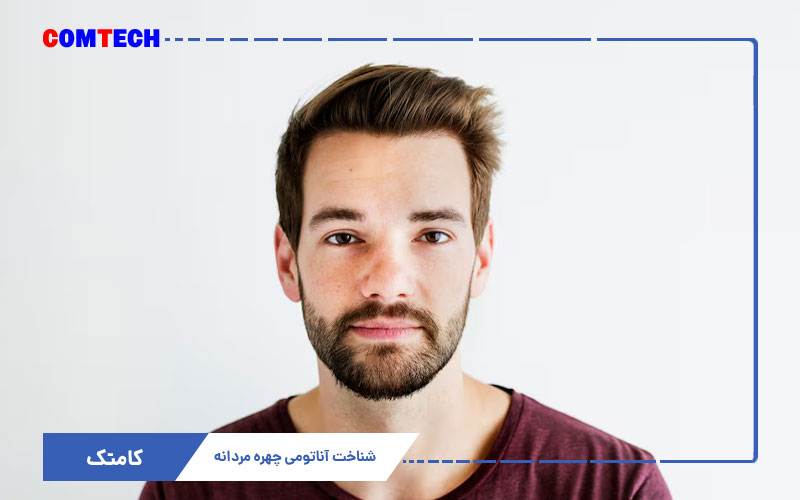 آموزش آناتومی چهره مردانه آموزش آناتومی چهره مردانه