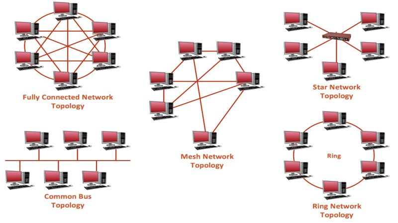 انواع بسترهای ارتباطی در شبکه و معرفی توپولوژی‌ها